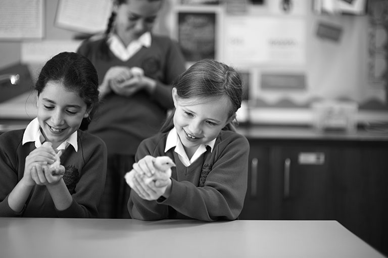 Rowan Prep School - ENRICHMENT